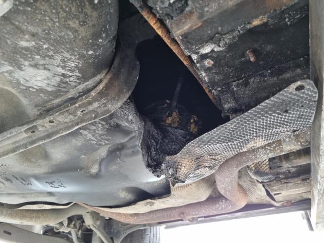 Image Renfort pare choc avant (traverse) - FORD S-MAX 1