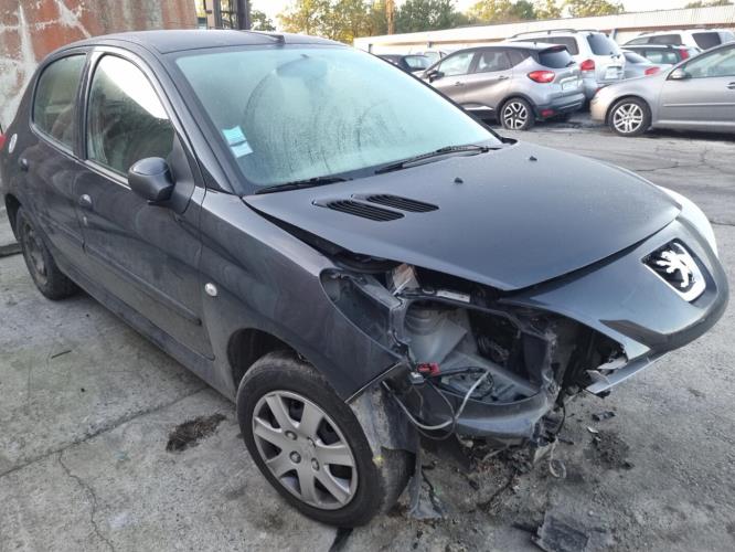 Image Retroviseur gauche - PEUGEOT 206+
