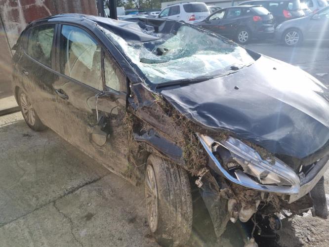 Image Porte arriere droit - PEUGEOT 208 1