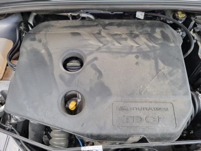 Image Malle/Hayon arriere - FORD FOCUS 3