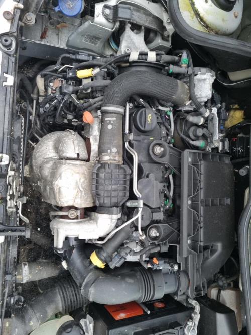 Image Feu arriere principal droit (feux) - PEUGEOT 206+