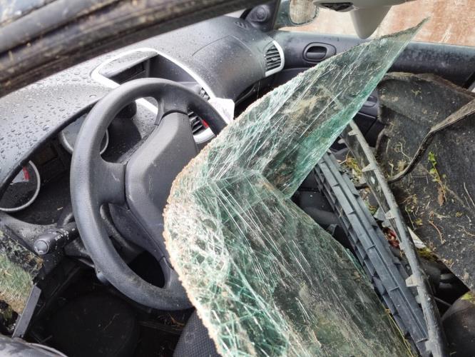 Image Retroviseur droit - PEUGEOT 206+