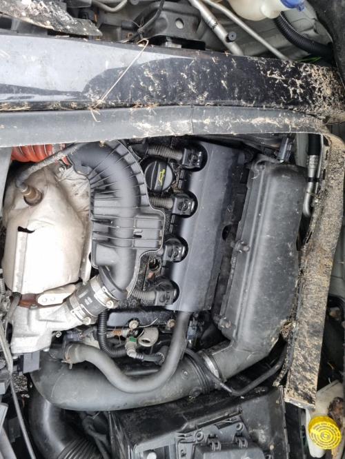 Image Feu arriere principal droit (feux) - CITROEN DS3