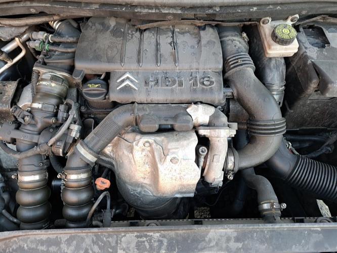 Image Malle/Hayon arriere - CITROEN C4 1