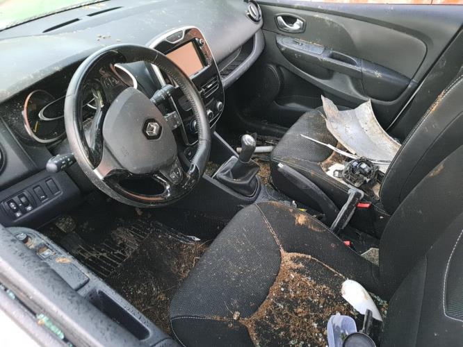 Image Moteur - RENAULT CLIO 4