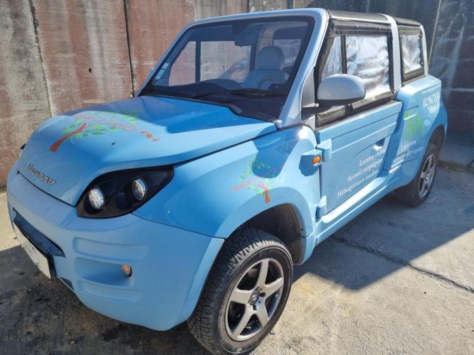 Image Retroviseur gauche - BLUECAR BLUESUMMER
