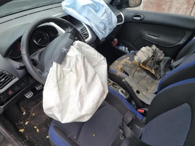 Image Feu arriere principal droit (feux) - PEUGEOT 206+
