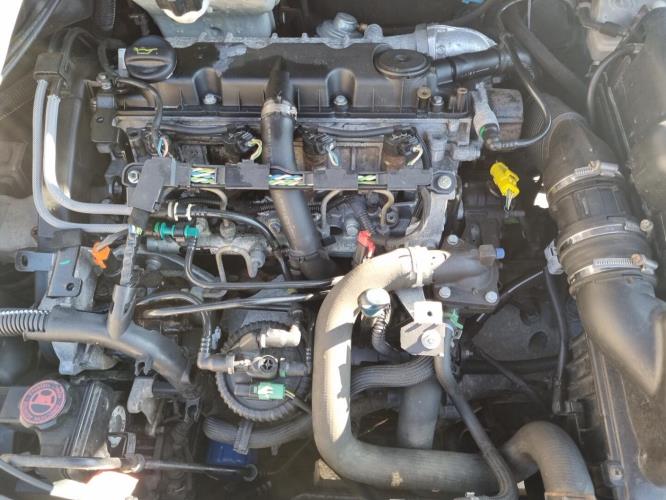 Image Feu arriere principal droit (feux) - PEUGEOT 206