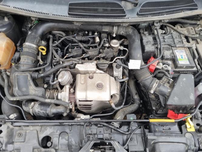 Image Feu arriere principal gauche (feux) - FORD FIESTA 6