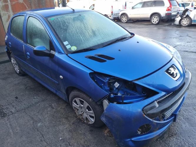Image Retroviseur gauche - PEUGEOT 206+