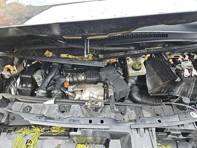 Image Malle/Hayon arriere - PEUGEOT 3008 1