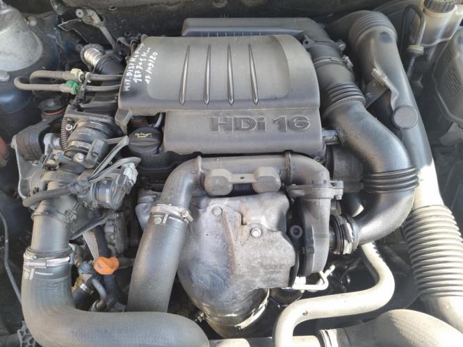 Image Porte arriere gauche - CITROEN C5 2