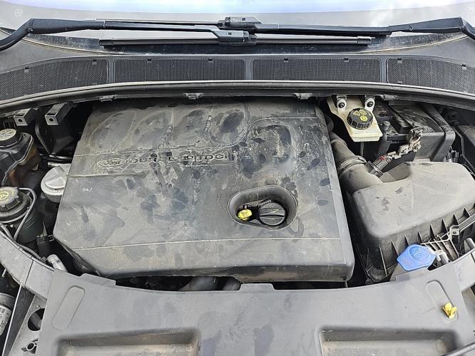 Image Retroviseur droit - FORD S-MAX 1
