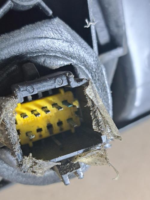 Image Retroviseur droit - RENAULT MEGANE 2