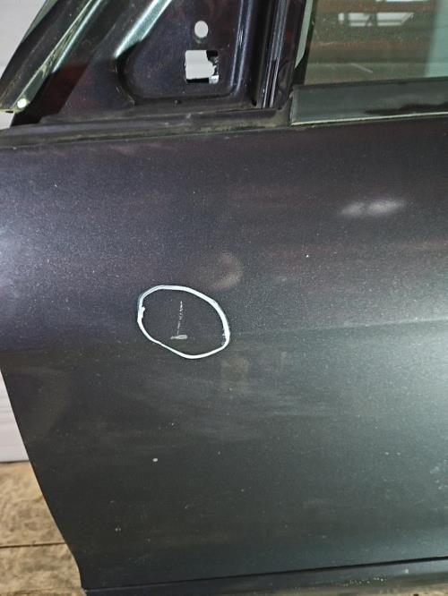 Image Porte avant gauche - FORD S-MAX 1