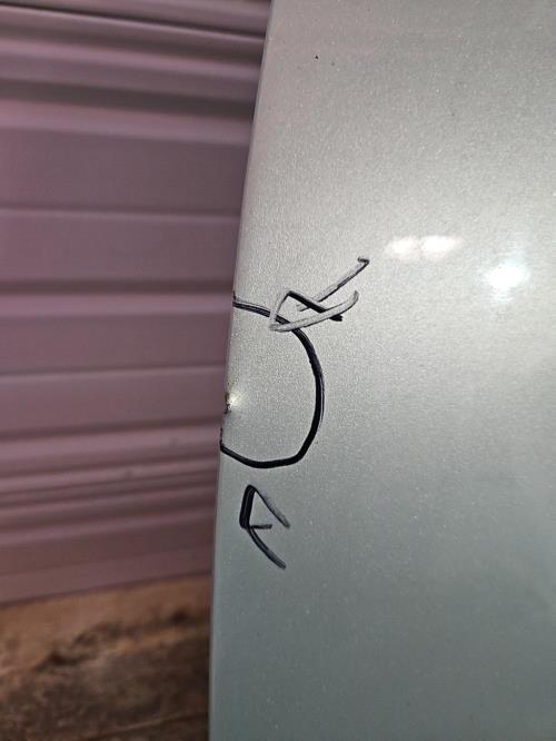 Image Porte avant gauche - OPEL INSIGNIA 1
