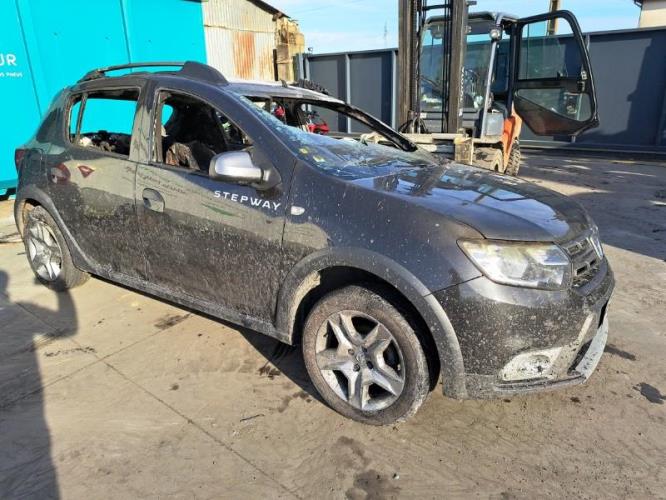 Image Trappe d'essence - DACIA SANDERO 2