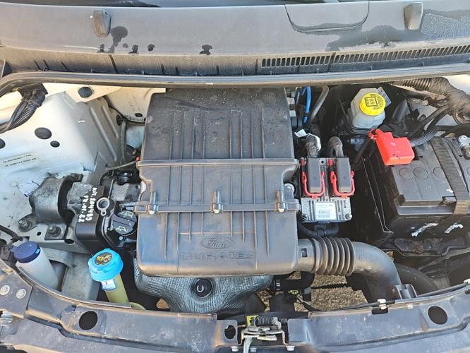 Image Feu arriere principal droit (feux) - FORD KA 2