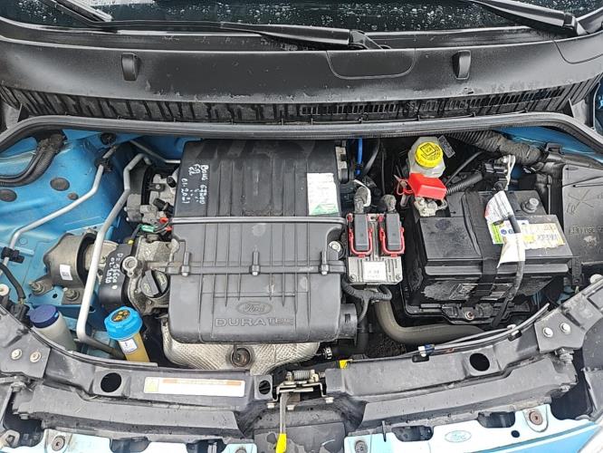 Image Feu arriere principal gauche (feux) - FORD KA 2
