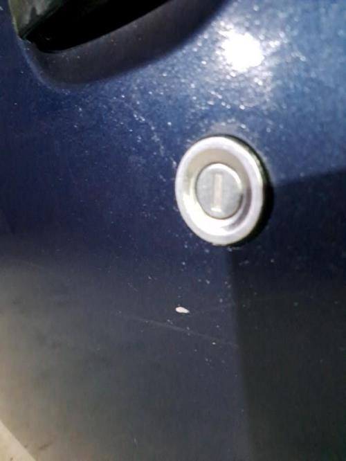 Image Porte avant gauche - BLUECAR BLUEUTILITY