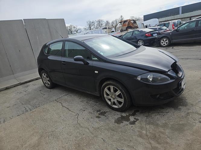 Image Porte arriere gauche - SEAT LEON 2