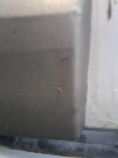 Image Pare choc avant - RENAULT SCENIC 2
