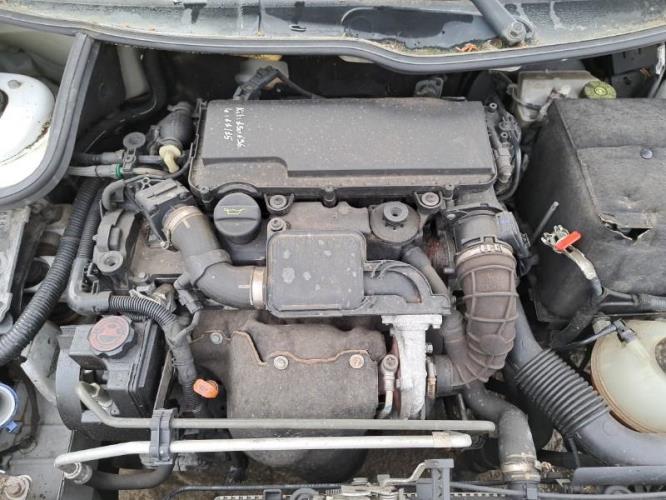 Image Feu arriere principal droit (feux) - PEUGEOT 206+