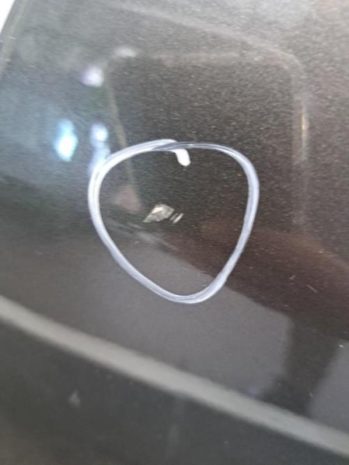 Image Porte arriere gauche - OPEL INSIGNIA 1