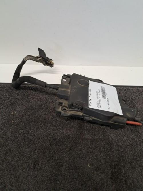 Image Porte fusible - PEUGEOT 207