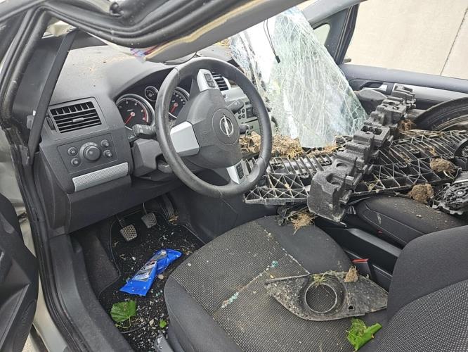 Image Plage arriere - OPEL ZAFIRA B