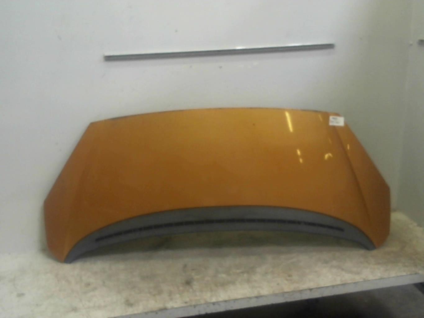 Capot PEUGEOT 1007 Diesel - 1