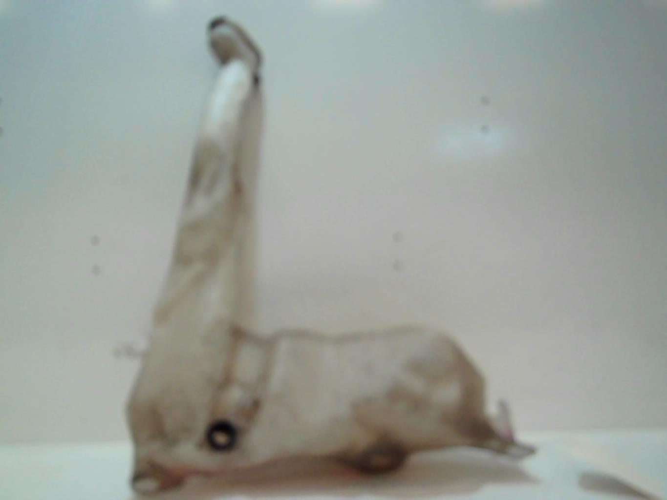Vase de lave glace RENAULT MASTER 2 PHASE 2 Diesel - 1
