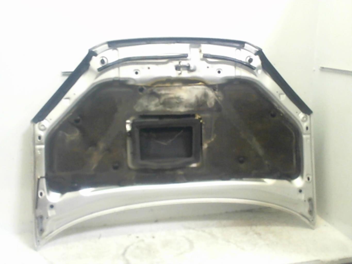 Capot TOYOTA RAV4 2 PHASE 1 Diesel - 1