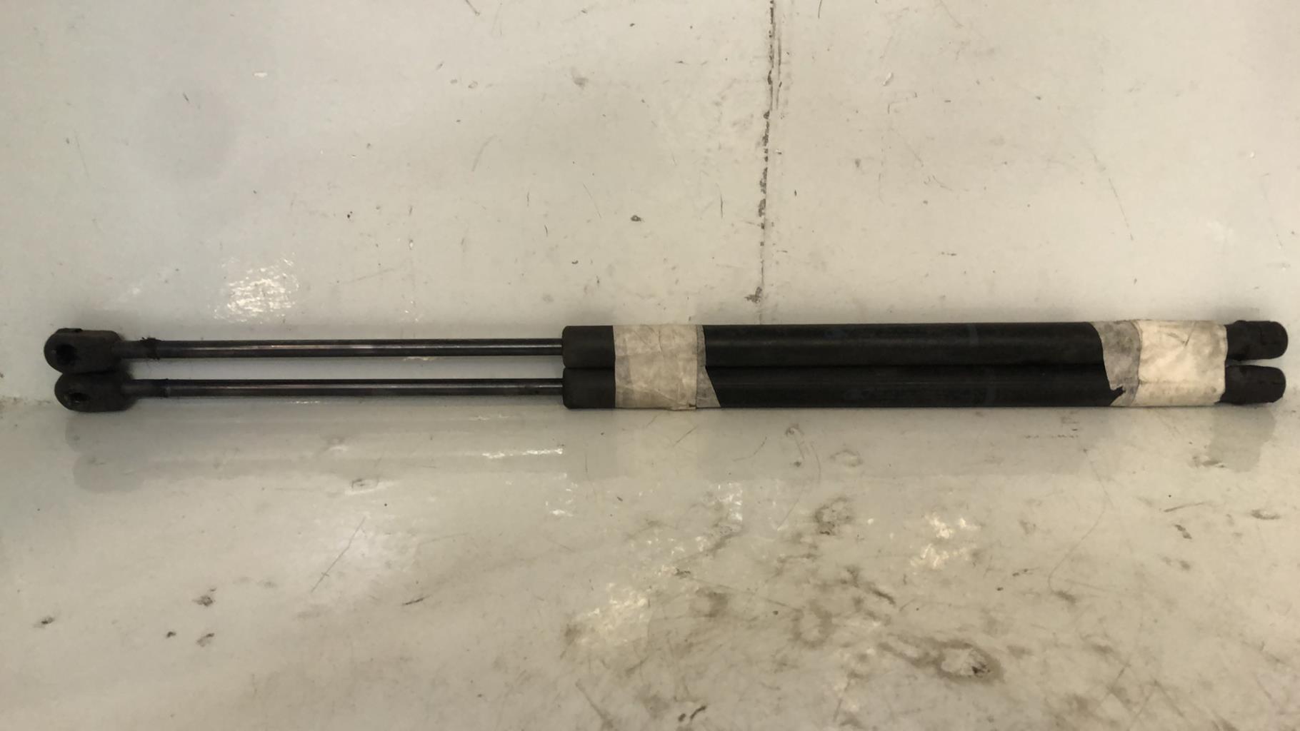 Verin de coffre RENAULT SCENIC 2 PHASE 2 Diesel - 1