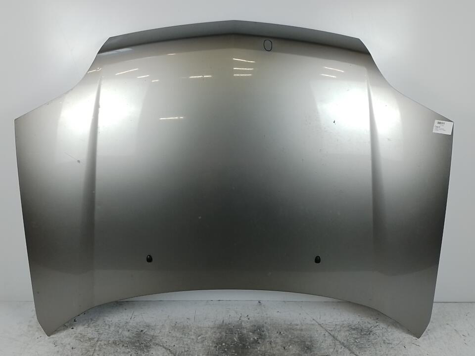 Capot NISSAN X-TRAIL 1 PHASE 2 Essence - 1
