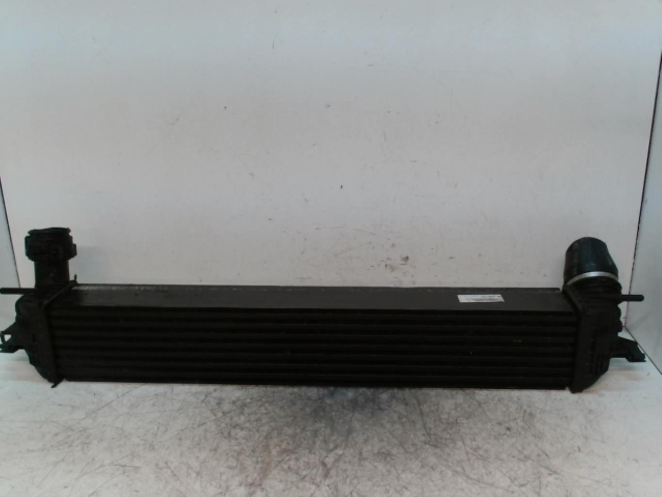 Echangeur air (Intercooler) RENAULT LAGUNA 3 PHASE 1 Diesel - 1