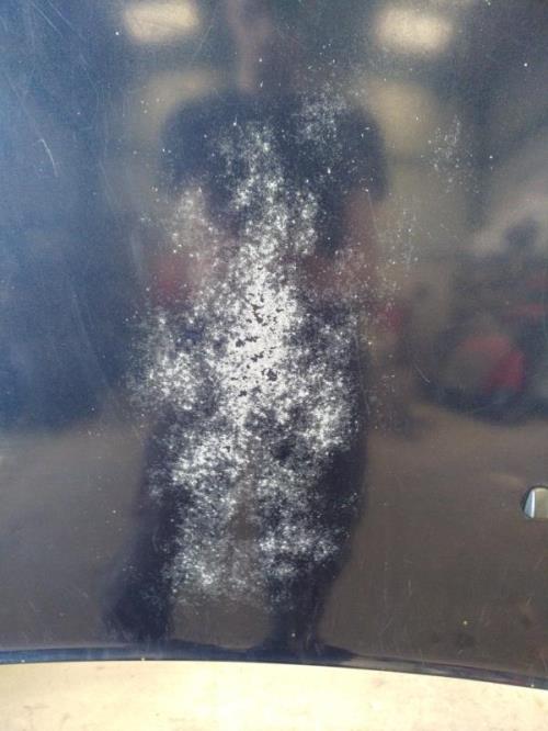 Photo de la pièce
