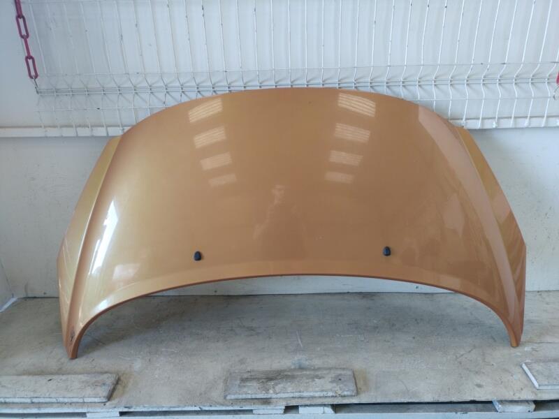 Capot PEUGEOT 207 PHASE 1 Diesel - 1