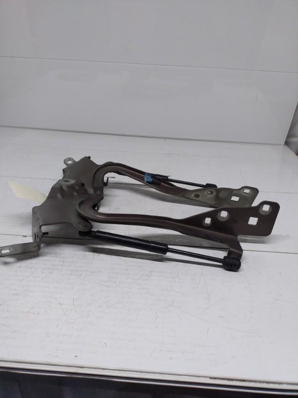 Charniere de capot RENAULT GRAND SCENIC 3 PHASE 1 Diesel - 1