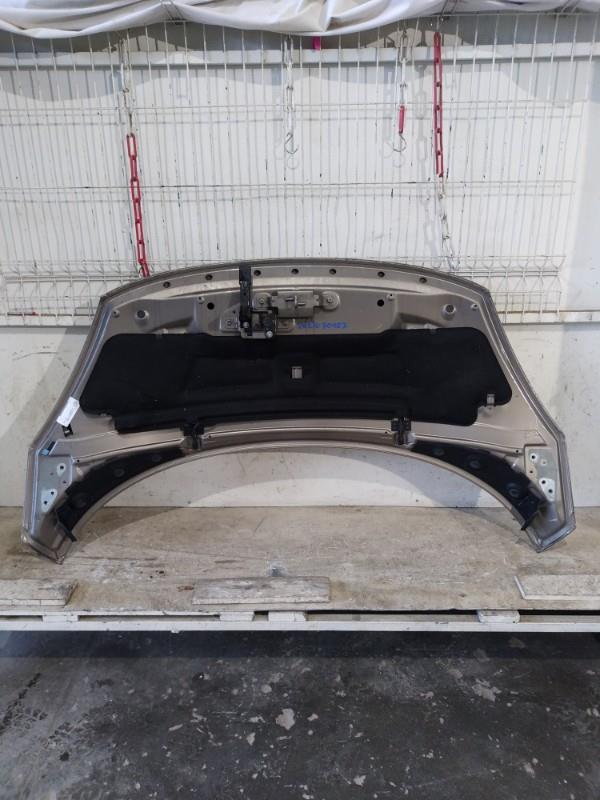 Capot RENAULT SCENIC 3 PHASE 1 Diesel - 1