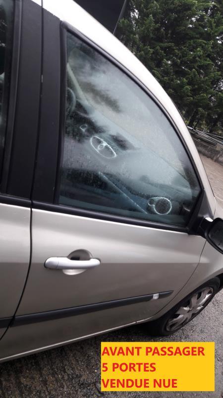 Porte avant droit RENAULT CLIO 3 PHASE 1 Diesel - 1