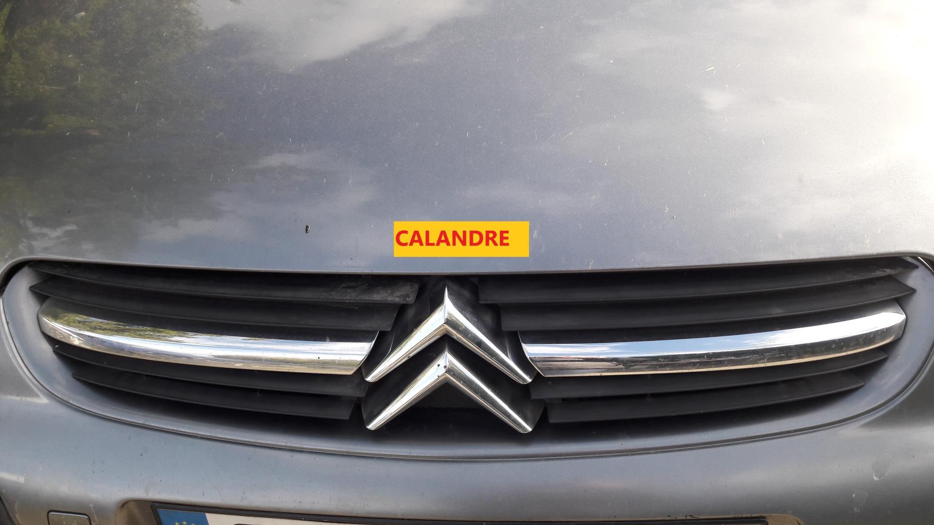 Calandre CITROEN C5 1 PHASE 1 BREAK Essence - 1