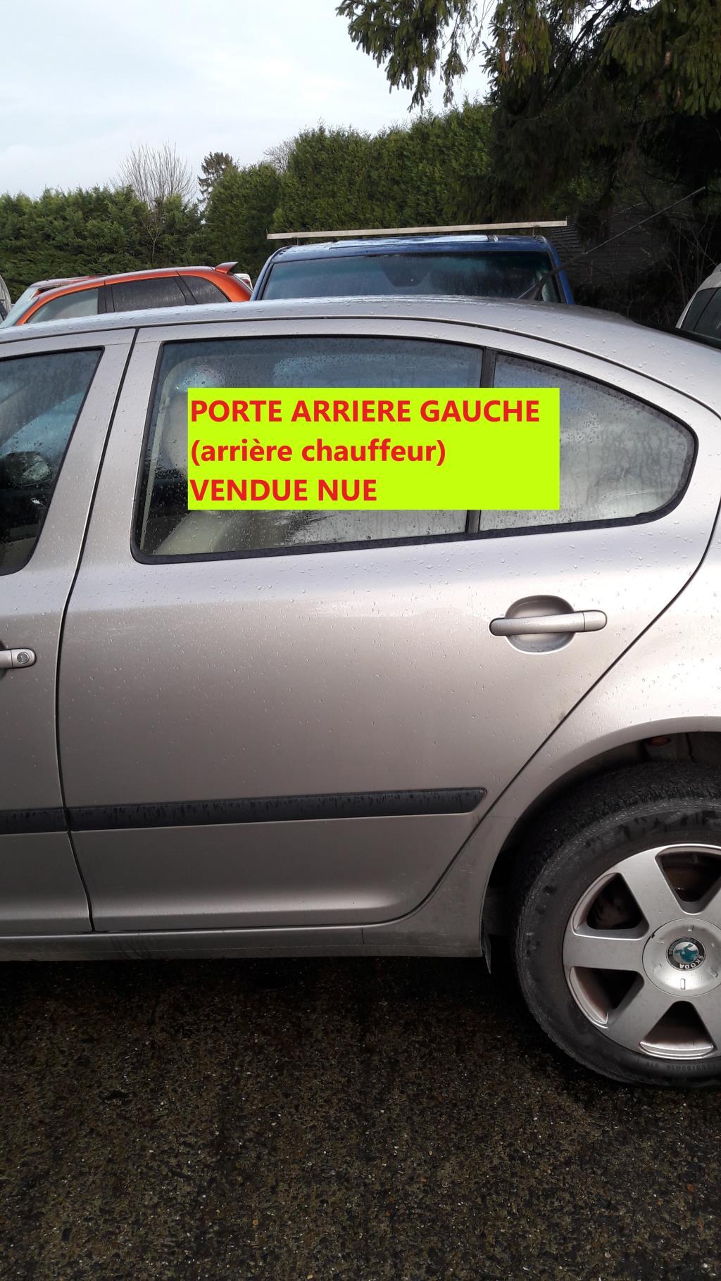 Porte arriere gauche SKODA OCTAVIA 2 PHASE 2 Diesel - 1