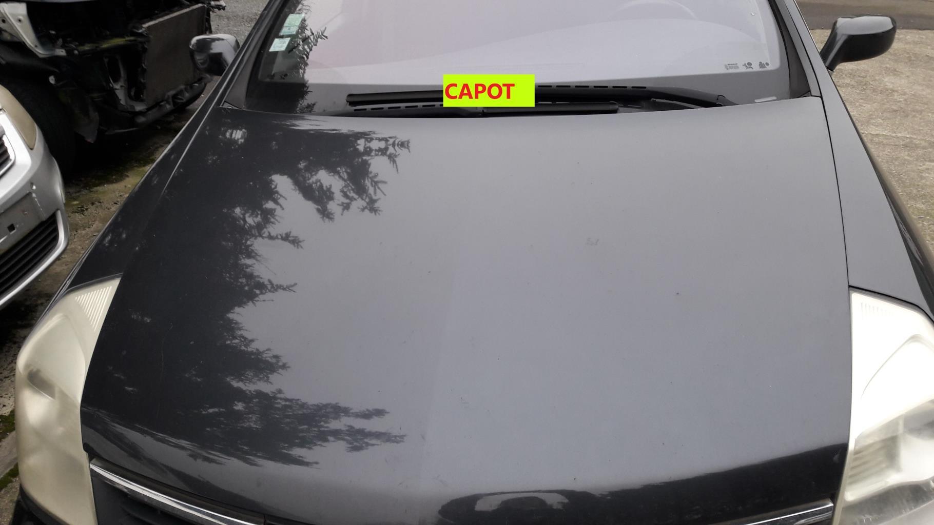 Capot RENAULT VEL SATIS PHASE 2 Diesel - 1