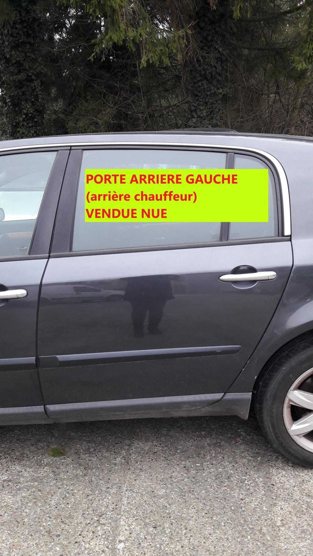 Porte arriere gauche RENAULT VEL SATIS PHASE 2 Diesel - 1