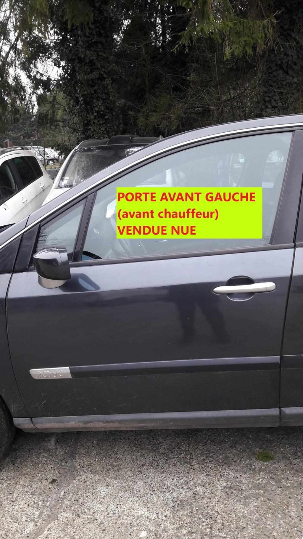Porte avant gauche RENAULT VEL SATIS PHASE 2 Diesel - 1