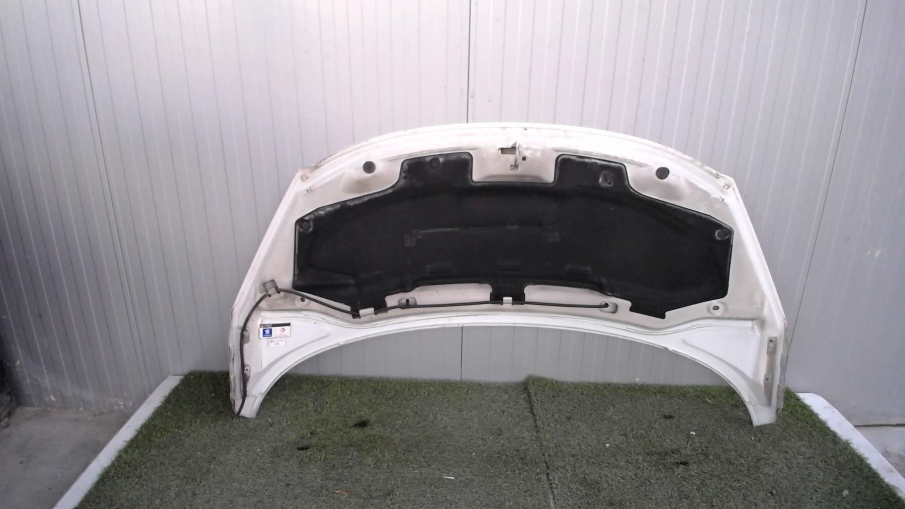 Capot PEUGEOT 207 PHASE 1 Diesel - 1