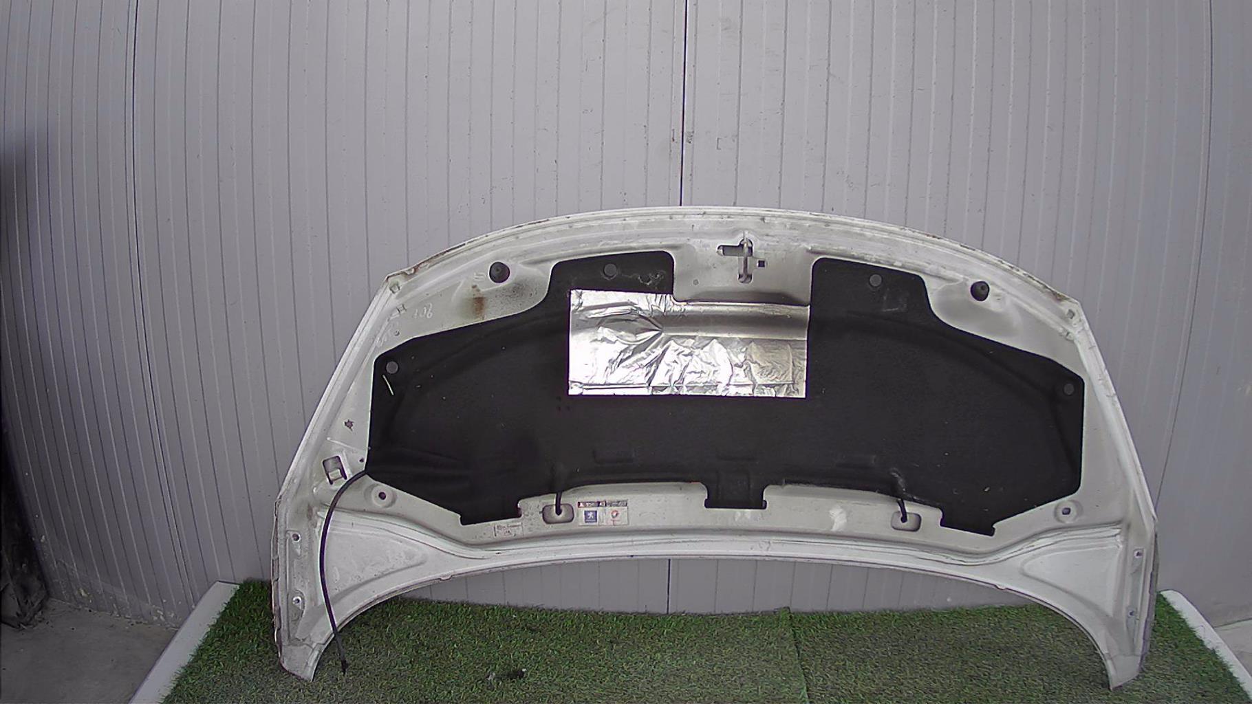Capot PEUGEOT 207 PHASE 1 Diesel - 1