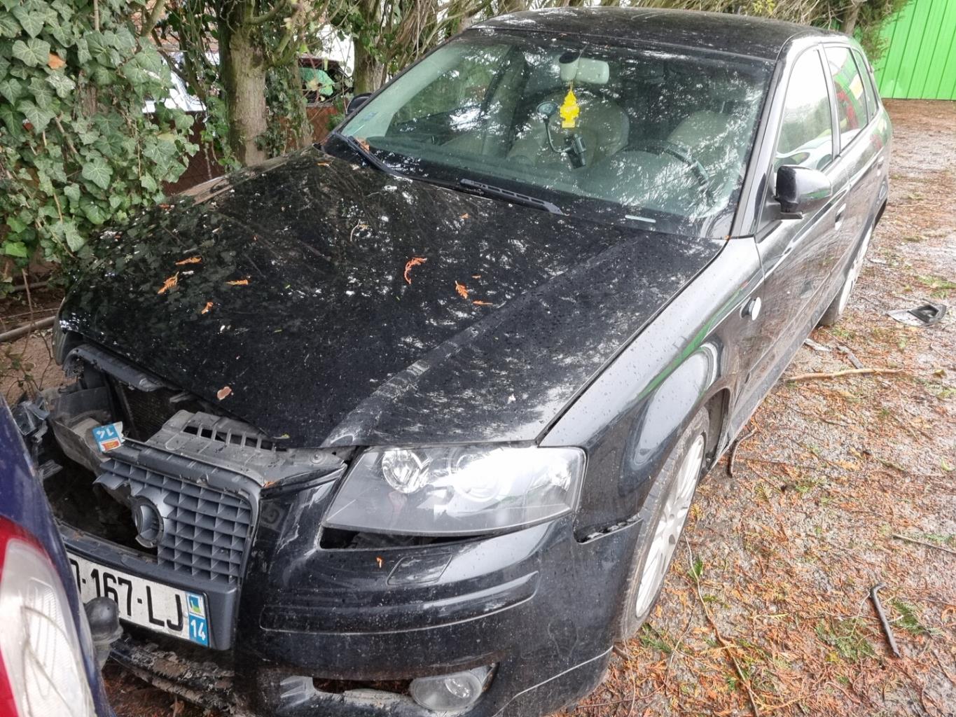 Triangle avant gauche AUDI A3 2 SPORTBACK PHASE 1 Diesel - 1
