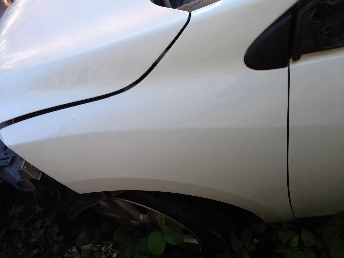 Parafango anteriore sinistro RENAULT MEGANE 3 PHASE 1 Diésel - 1